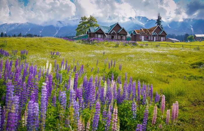 Kashmir Wonders: 9-Days Journey