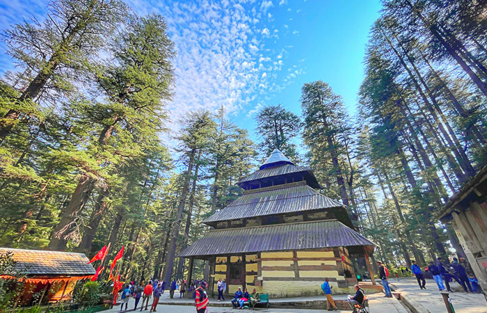 Winter Wonderland Drive: Chandigarh-Shimla-Manali