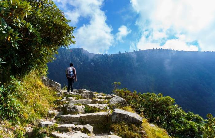 Scenic Escape: Amritsar to Dharamshala