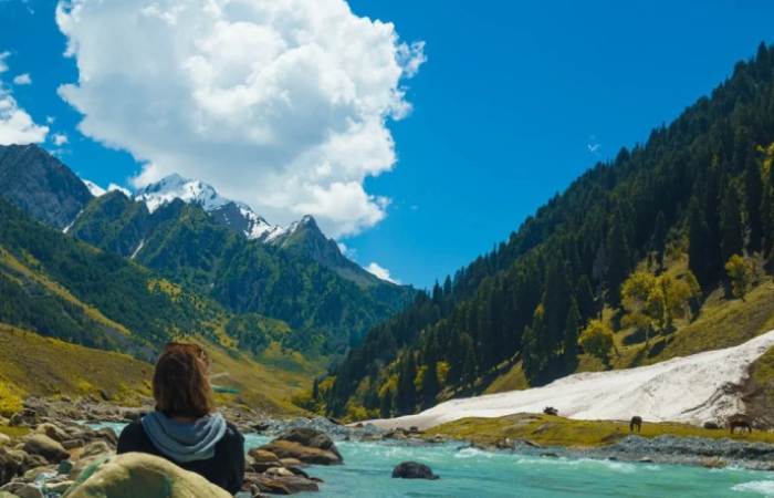 Wonders of Kashmir: 7-Days Tour